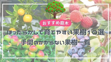 容易種的果樹|ほったらかしで育てやすい果樹10選 【手のかからな。